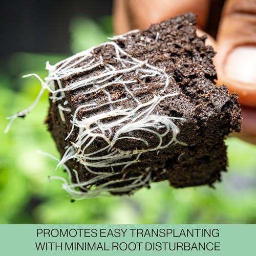 The Hydroponic City Seed Starter Trays, 216-Cell Seedling Starter Trays (36 Trays - 6 Cells Each) + Plant Stakes - Image 4