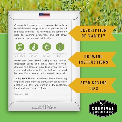 Oat Seeds for Planting - 1 Pack - Image 2