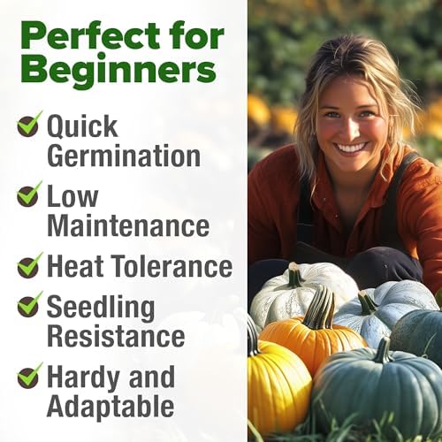 HOME GROWN Pumpkin Mix Seeds, 5 Variety, 40+ Seeds, Cucurbita pepo - Image 4