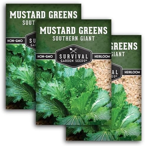 Southern Giant Mustard Green Seeds for Planting - 3 Packs by SurvivalGardenSeeds