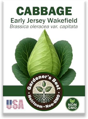Cabbage Seeds for Planting - Early Jersey Wakefield Variety - Organic, High Germination, Non-GMO, Heirloom Variety (Early Jersey Wakefield) by WeGrowGoodFood