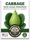 Cabbage Seeds for Planting - Early Jersey Wakefield Variety - Organic, High Germination, Non-GMO, Heirloom Variety (Early Jersey Wakefield) by WeGrowGoodFood