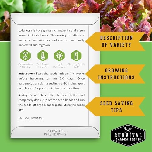 Lettuce Seeds for Planting | 10 Heirloom Lettuces Collection - Image 2