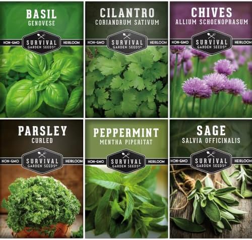 Hydroponic Herb Seeds for Indoor Garden – 6 Variety Pack by SurvivalGardenSeeds