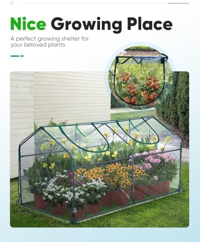 Quictent Mini Greenhouse for Indoor Outdoor, Portable Quick-Setup Tabletop - Image 6