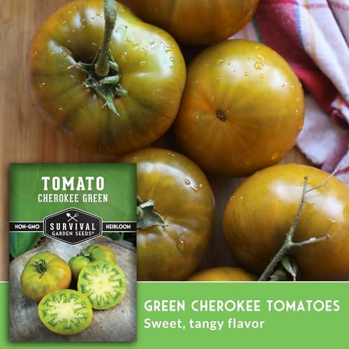 Cherokee Green Tomato Seeds for Planting - 5 Packs - Image 4