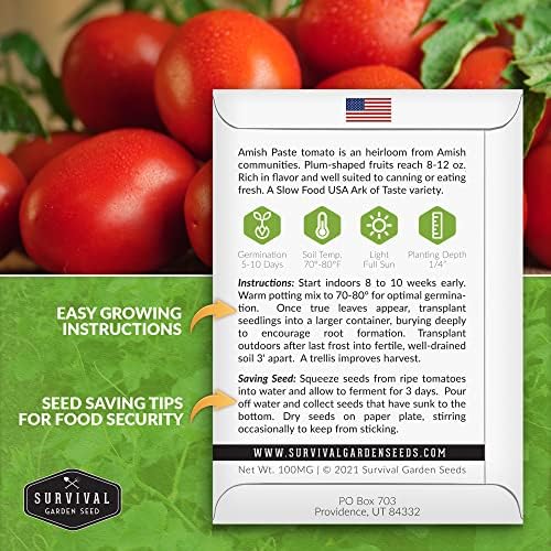 Amish Paste Tomato Seeds for Planting - 1 Pack - Image 2