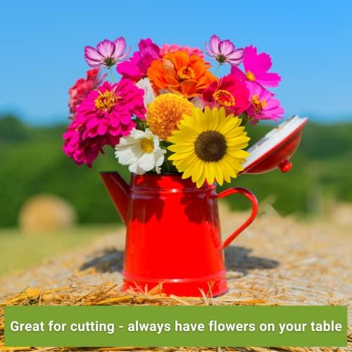 Sow Right Seeds - Annual Flower Seed Collection for Planting Home Garden - Image 4