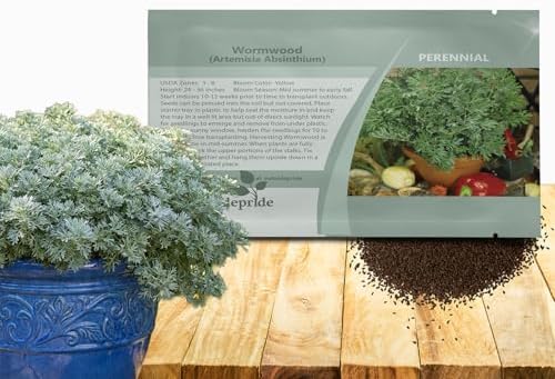 Outsidepride Wormwood Seeds - 10000 Pcs. Perennial, Easy to Grow & Drought Tolerant, Herb Seeds for Planting Aromatic, Delicate Gray-Green Foliage, Great for Landscaping & Xeriscaping Herb Gardens by Outsidepride