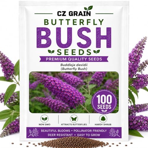 Butterfly Bush Seeds for Planting | 100 Seeds | Buddleja Flower Shrub by CZGrain
