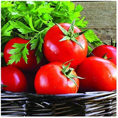 Park Seed Variety of Tomato Seeds, Early Girl Hybrid, Pack of 30 by ParkSeed