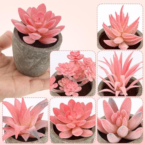 Woration 6Pcs Small Artificial Pink Succulent Set Fake Flocking Succulents Plants Potted Floral Arrangement for Shelf Office Home Desk Decorations - Image 4