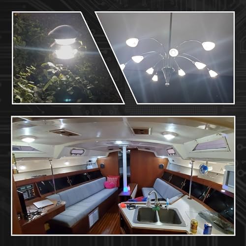 G4 Bi-Pin LED Bulb 6000K Daylight White 12V 24V T3 JC Type 4W 400lm, 8 Pack - Image 3