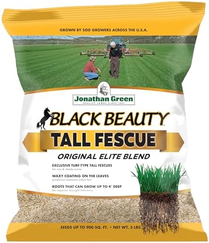 Jonathan Green Black Beauty Tall Fescue Grass Seed Blend - 3 lb by JonathanGreen