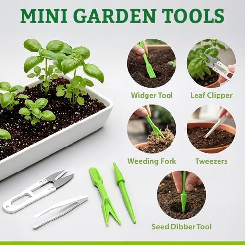 Medicinal Herb/Tea Seeds Garden -39 Variety Heirloom Gift Kit - Made in USA - Image 7
