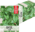 Seed Needs Lemon Basil Seeds to Plant an Herb Garden - 10 Packs by SeedNeeds