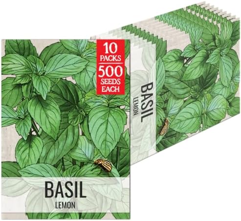 Seed Needs Lemon Basil Seeds to Plant an Herb Garden - 10 Packs by SeedNeeds