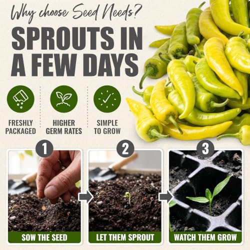 Seed Needs Sweet Banana Pepper Seeds to Plant Vegetables - 10 Packs - Image 5