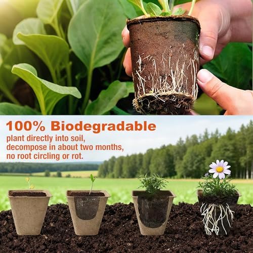 Peat Pots for Seedlings, Seed Starter Pots, 40 Pcs 3.15 Inch, Biodegradable Plant Starter Nursery Pots with Drainage Holes, Organic Round Planting Pots for Vegetables Herbs - Image 4