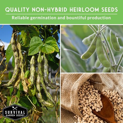 Hot Weather Bean Seeds for Planting – 5 Varieties - Survival Garden Seeds - Image 4