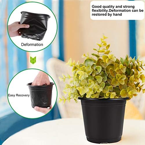 Augshy 50 Pcs 0.5 Gallon Black Plastic Plant Nursery Pots 6 Inches Seed Starting Pots Containers with 50 Labels - Image 5