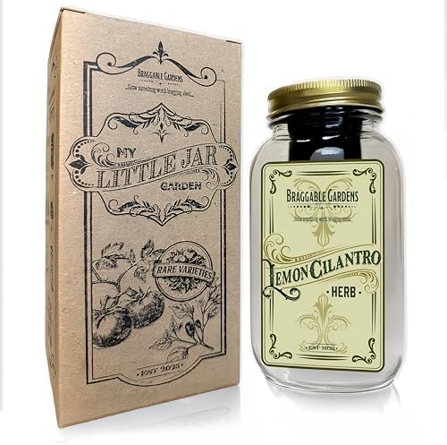 Lemon Cilantro Indoor Herb Garden Kit – Mason Jar Hydroponic Grow Kit – Windowsill Countertop Herb Planter – Grow Fresh Cilantro Indoors - Image 6