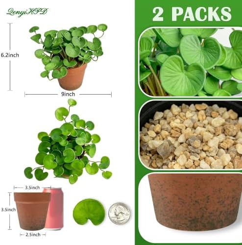 Artificial Coin Grass, 2 Pack Potted Plants for Indoor Tabletop Home Office - Image 2