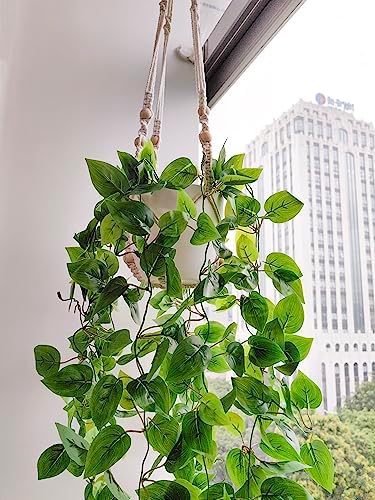 Comtelek 2 Packs Fake Hanging Plant with Pots for Home Decor Artificial Hanging Basket Plants Macrame Plant Hanger with Faux Vines Greenery for Bedroom Bathroom Room Wall Boho Decor Indoor Outdoor - Image 7