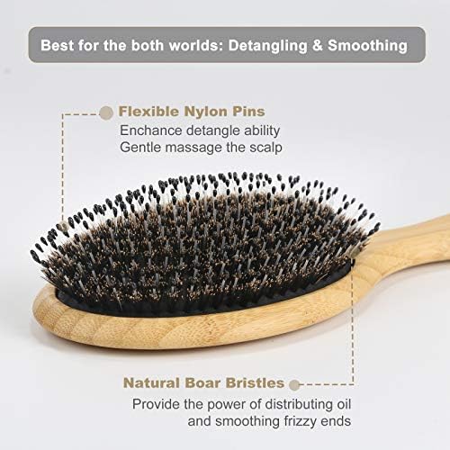 BESTOOL Hair Brush (Regular & Small), Boar Bristle Hair Brushes for Women Men Kids Thick Fine Curly Hair, Hairbrush for Detangling, Soften & Silky Shine - Image 2