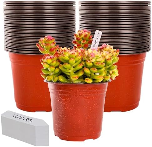 TDHDIKE 6" Plastic Plant Nursery Pots 100Pcs with 100 Labels by TDHDIKE