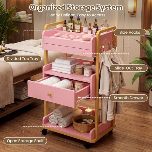 Salon Spa Cart with Storage, 3-Tier Rolling Beauty Storage Cart, Pink - Image 4