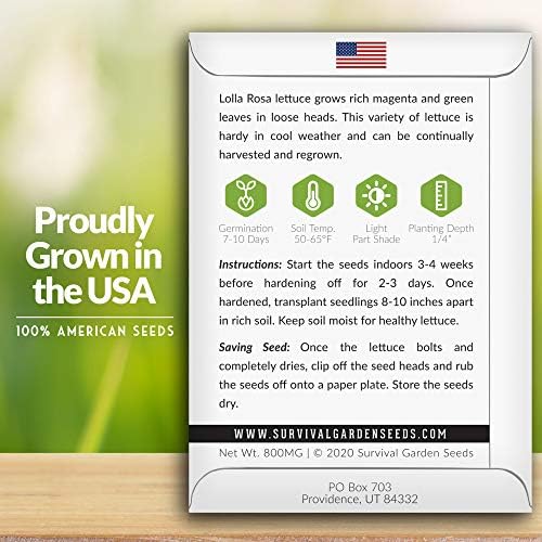 Lolla Rosa Lettuce Seeds for Planting, Red Leaf Variety - 2 Packs - Image 2