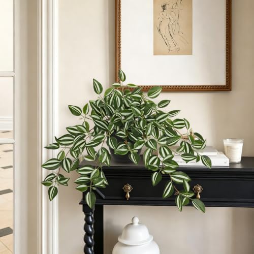 Briful Artificial Potted Plant Indoor, 19.6" Faux Watermelon Peperomia Trailing Plant in Black Pot, Realistic Fake Plants with Cascading Green Leaves for Cabinet Shelf Bathroom Office Desk Home Decor - Image 4