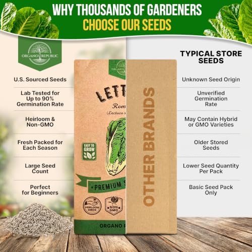 Lettuce Romaine Seeds 3 G - Over 2,600 Non-GMO Heirloom Lettuce Seeds for Planting Greens in Individual Seed Packet - Image 7