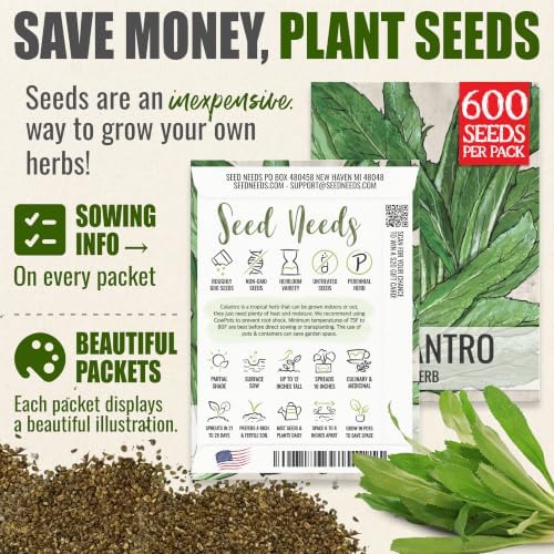 Seed Needs Culantro Seeds to Plant an Herb Garden - 5 Packs - Image 3
