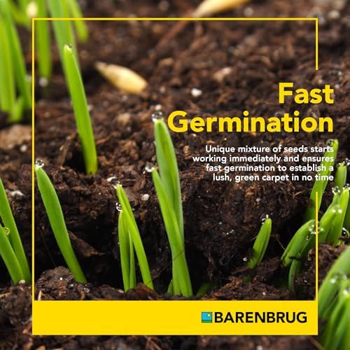 Barenbrug Wonderlawn Hardy Lawn Grass Seed for Lawns, Fast-Acting Durable Grass Seed Mix for All Weather Conditions, 3-lb. Bag - Image 2