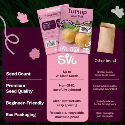 SVI 2500 Gold Ball Turnip Heirloom Vegetable Seeds Brassica rapa Non GMO - Image 6