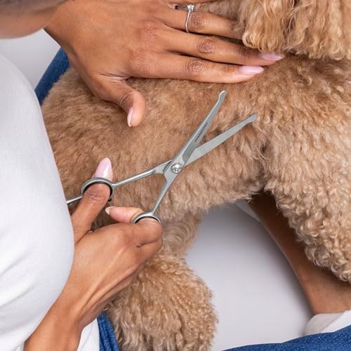 Tweezerman 7" Pet Grooming Shears-Safety Round Tips for Dogs & Cats - Image 5