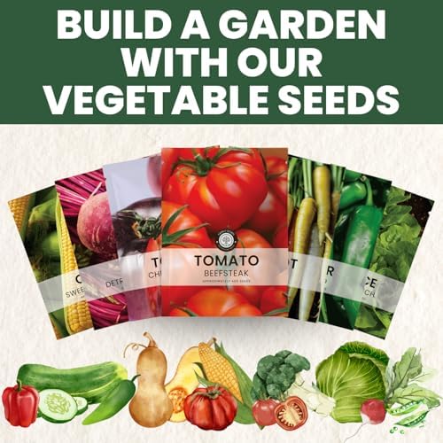 Beefsteak Tomato Seeds – Over 400 Premium Heirloom Seeds for Planting for the 2026 Season – Juicy, Flavor-Rich Garden Favorite – 1 Gram Pouch - Image 6