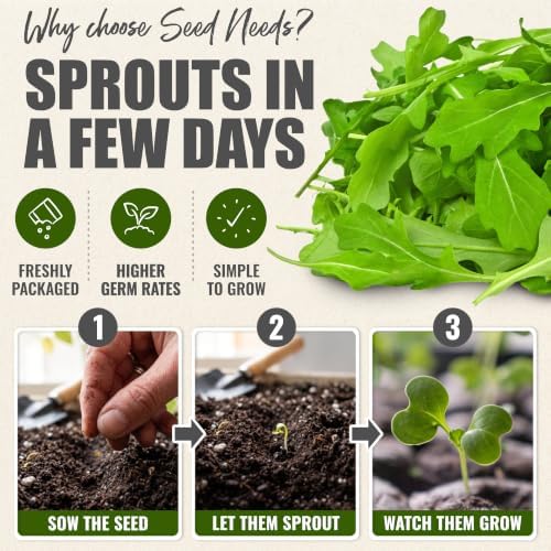 Seed Needs Arugula Seeds to Plant an Herb Garden - 5 Packs - Image 5