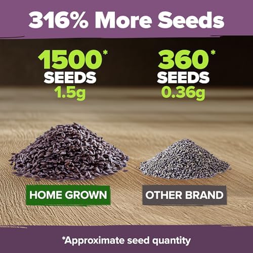 HOME GROWN Lavender & Sunflower Seed Kit – 2-Pack with 1,500 English Lavender & 520+ Mammoth Sunflower Non-GMO USA Seeds – Indoor & Outdoor Wildflower Garden Set – Easy to Grow, Heirloom Flowers - Image 7