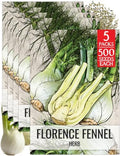Seed Needs Florence Fennel Seeds to Plant an Herb Garden - 5 Packs by SeedNeeds