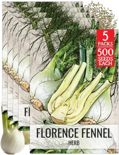 Seed Needs Florence Fennel Seeds to Plant an Herb Garden - 5 Packs by SeedNeeds
