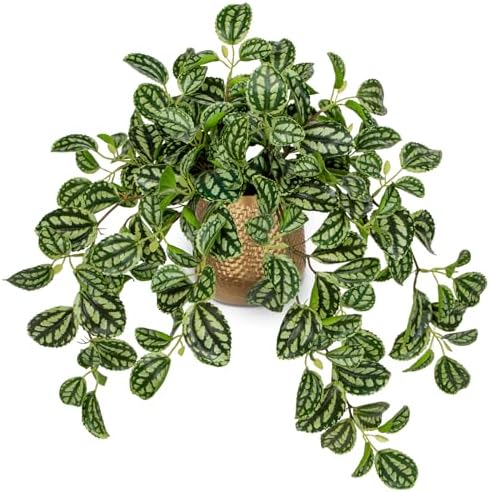 Briful Faux Plants Indoor 17.7in Fake Watermelon Peperomia Plant in Gold Pot with Realistic Silk Green Leaves Artificial Potted Plant for Home Office Table Shelf Desk Modern Room Decor by Briful