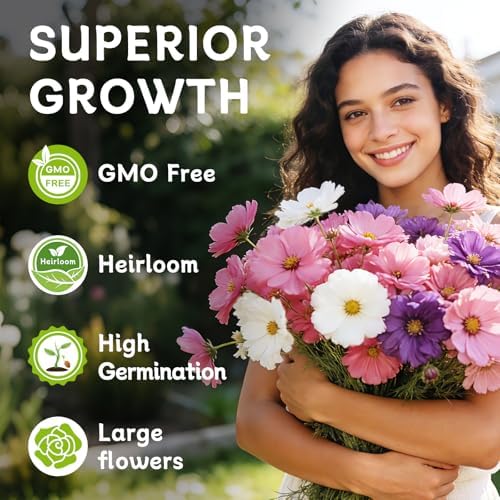 LUOJIBIE Cosmos Seeds, 4,500+ Cosmos Flower Seeds for 2026, Wildflower Seeds for Planting Outdoor Garden, Crazy Blend Mix Color, No Filler, 1.5 Oz Packet, Easy to Grow - Image 3