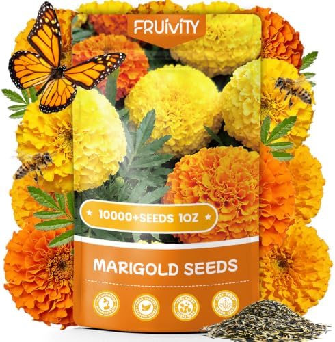 French Marigold Seeds for Planting, 1OZ 10000+ Heirloom Flower Seeds Perennial Seed Packet,Home and Garden Easy to Grow, Indoor & Outdoor Gardening, Plant & Quick Blooming by Fruivity