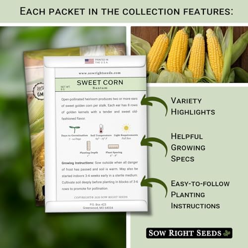 Sow Right Seeds - Three Sisters Seed Collection for Planting Home Garden - Image 2