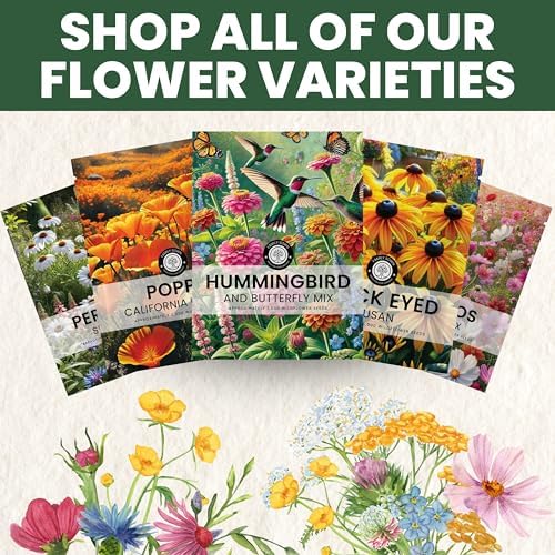 Perennial Species Mix - Large 5g Envelope - 2,500 Flower Seeds for Planting - Wildflower Mix - Image 7