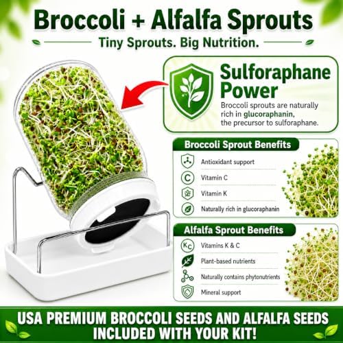 Broccoli Sprouts Growing Kit with Mason Jar, Stand, Tray & USA Seeds - Image 3