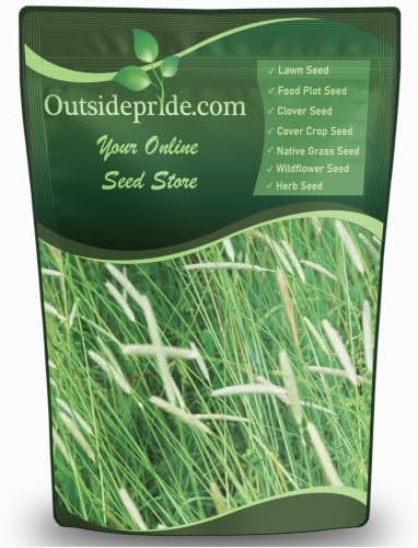 Outsidepride Climax Timothy Pasture Grass Seed - 25 Lbs. Perennial, Hardy, Easy to Grow, High-Yield, & Palatable, Winter Pasture Seed for Late-Spring Grazing, Hay Harvesting & Field Curing by Outsidepride
